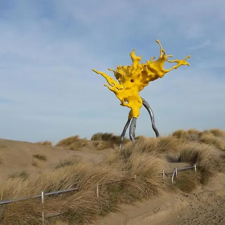 Met Frontaal Zeezicht *